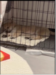 治疗结果